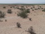 Image of landscape