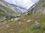 Image of landscape