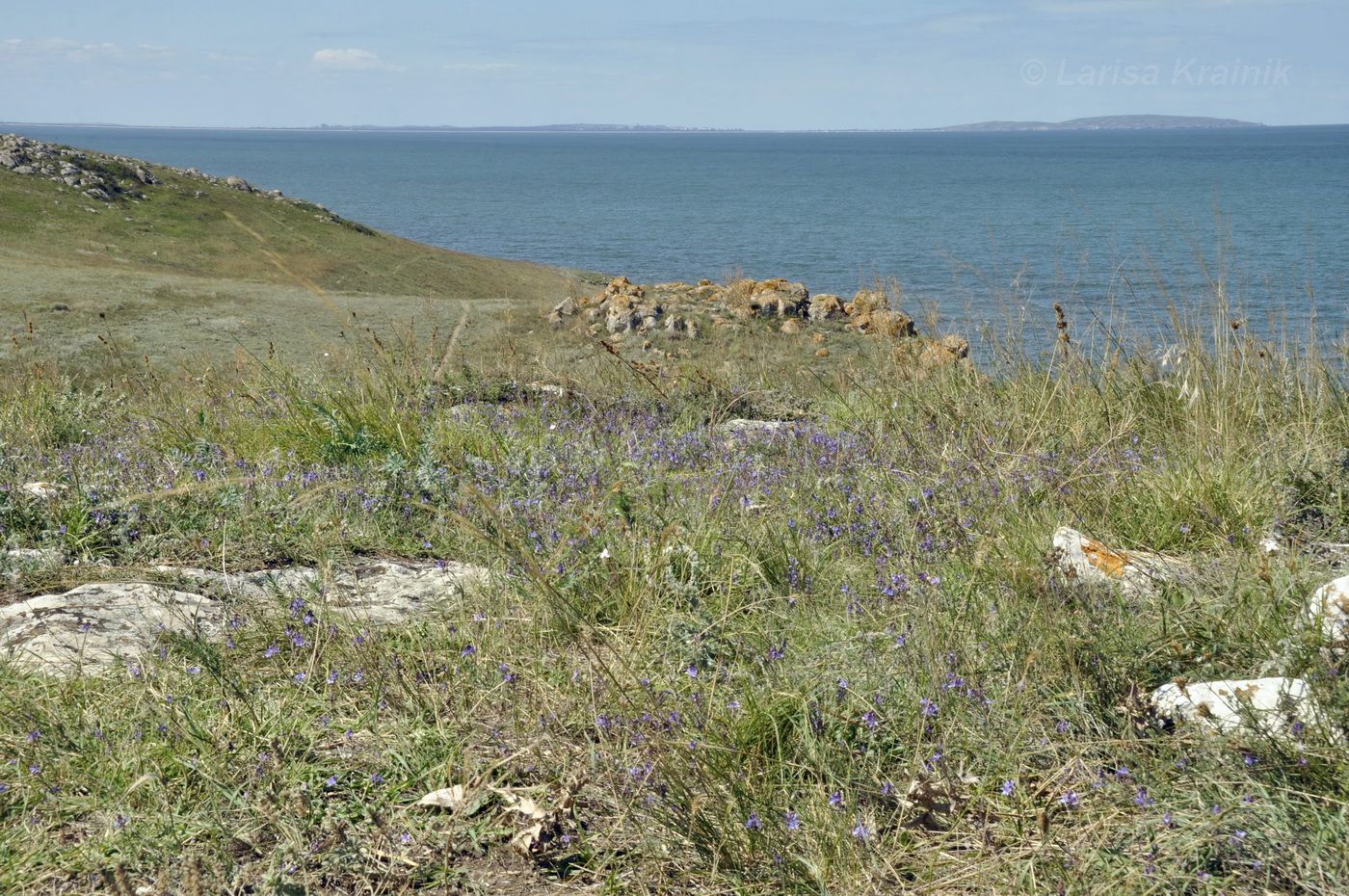 Генеральские пляжи, image of landscape/habitat.