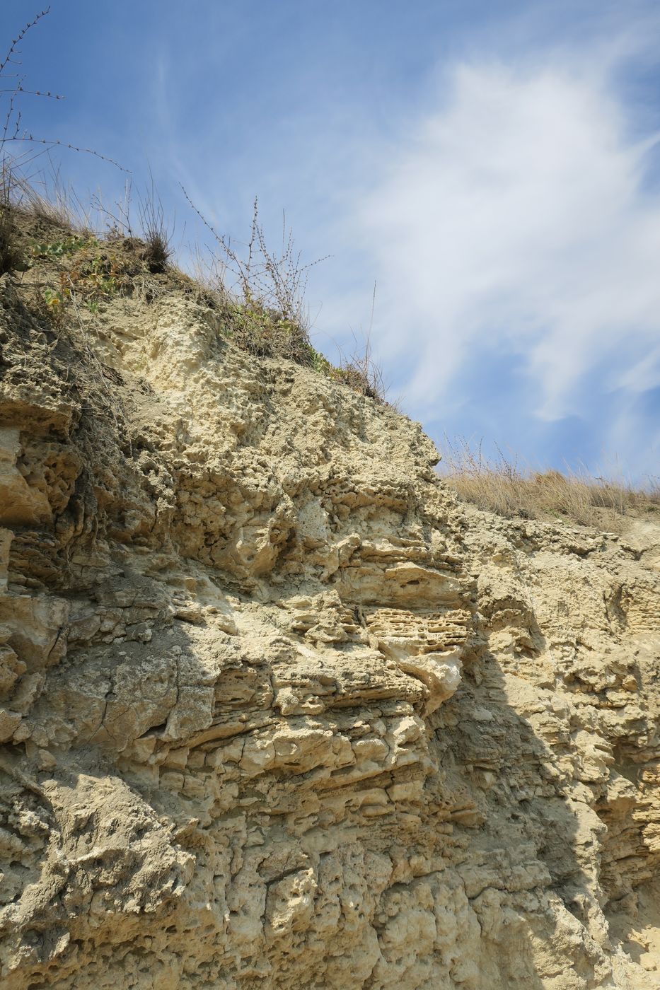 Дюны Несебра, изображение ландшафта.