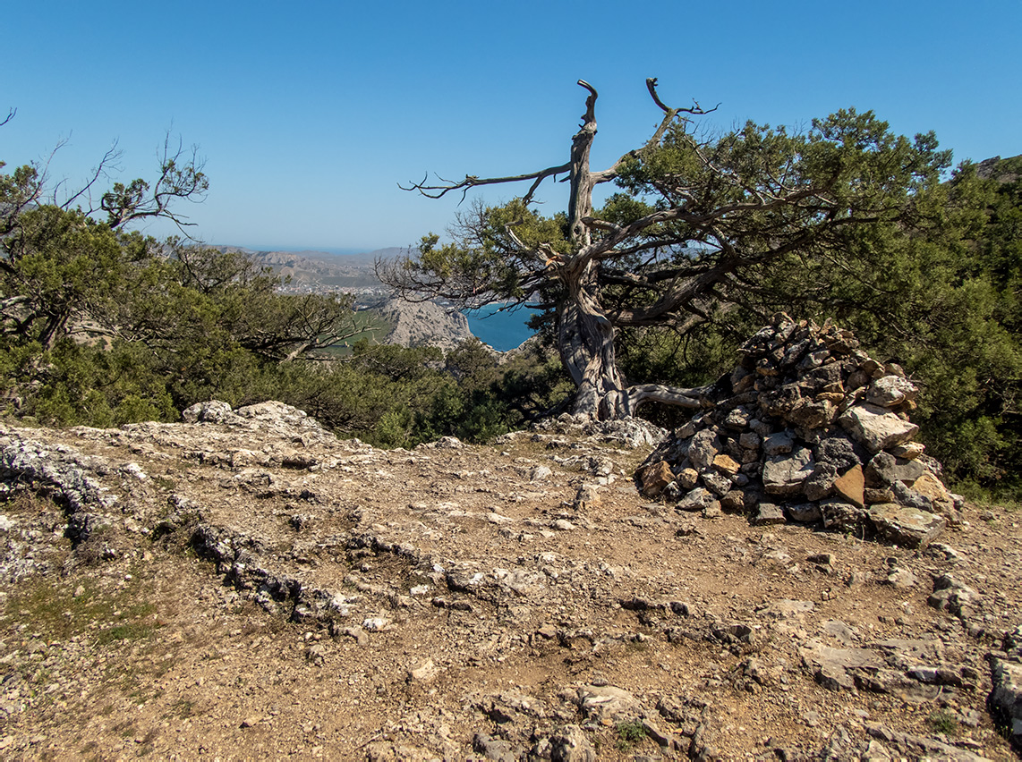 Сокол, image of landscape/habitat.