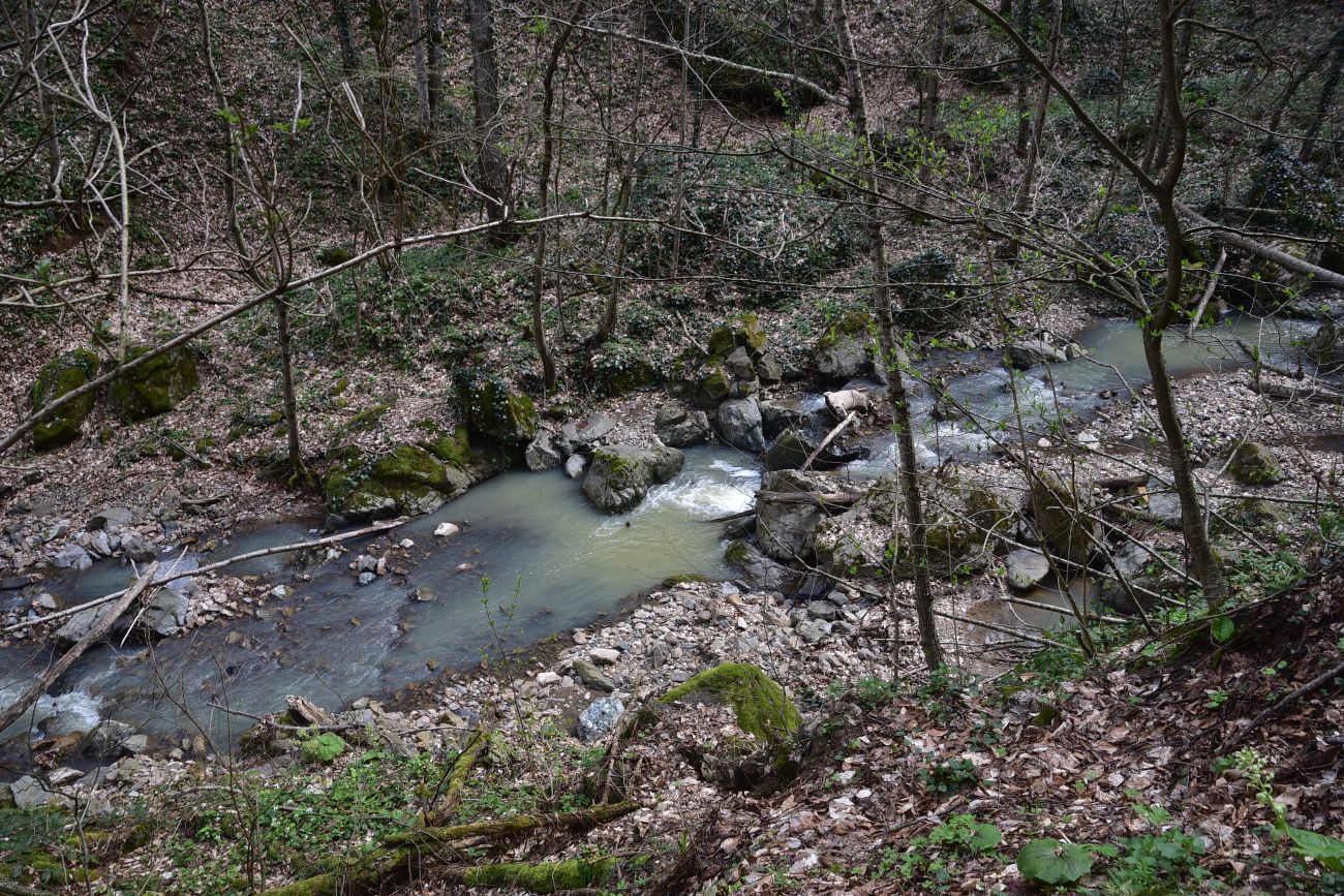 Переправа через Сюк, image of landscape/habitat.