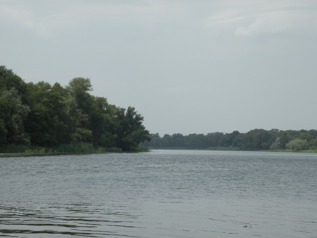 Куриловская пойма Днепра, изображение ландшафта.