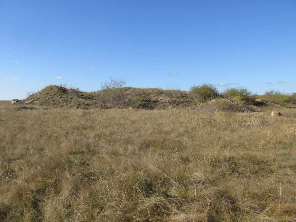 Джангуль, image of landscape/habitat.