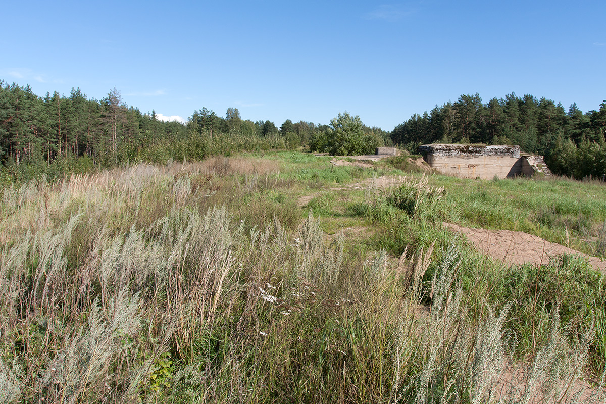 Красная Горка, image of landscape/habitat.