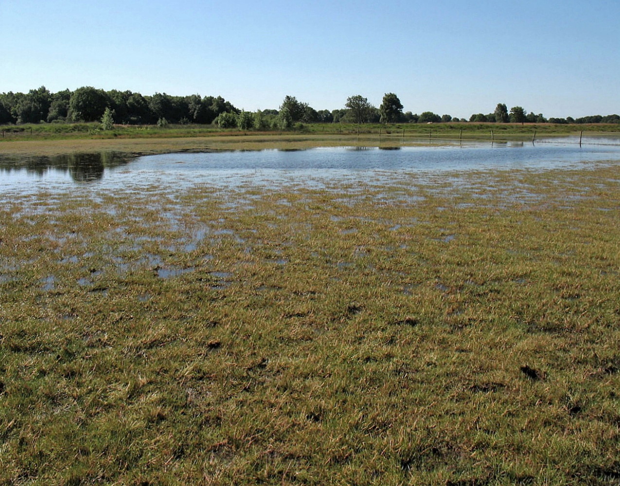 Brunstinger plassen, image of landscape/habitat.