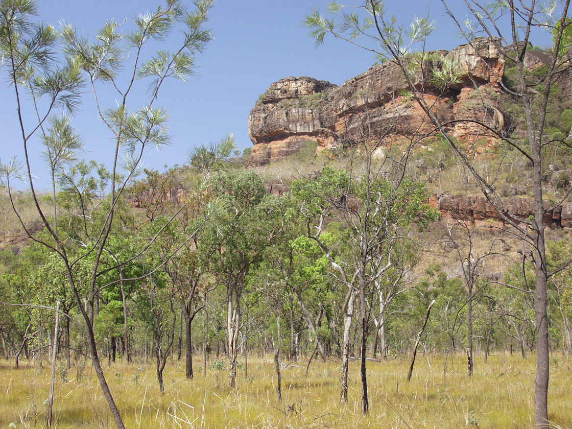 Kakadu, image of landscape/habitat.