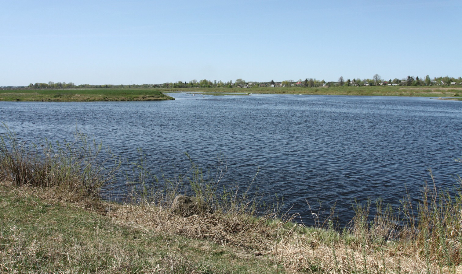 Выбуты, image of landscape/habitat.