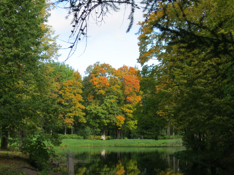 Город Пушкин, image of landscape/habitat.
