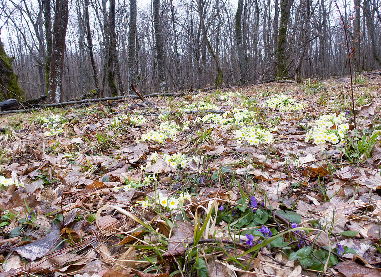 Глубокий Яр, image of landscape/habitat.