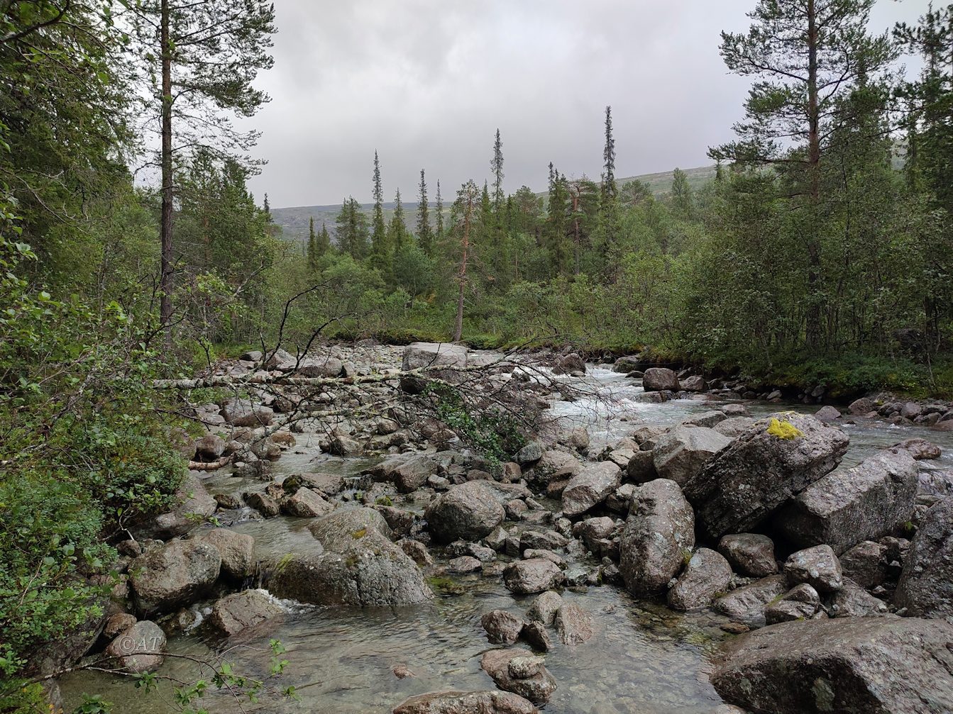 Ручей Маннепахк, image of landscape/habitat.