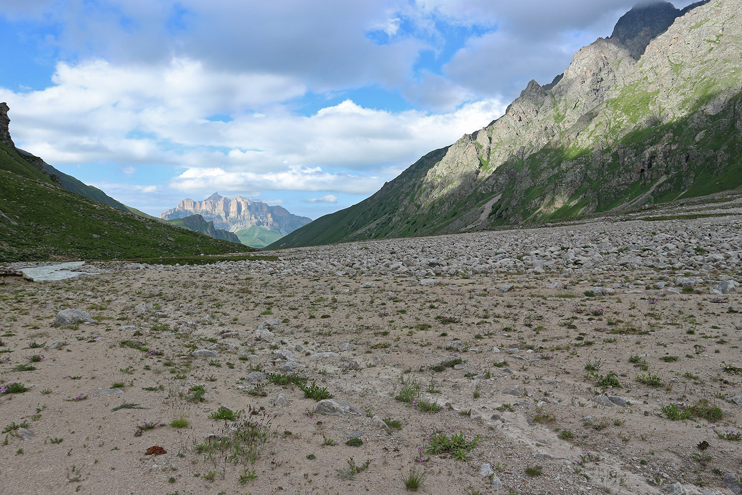Псыгансу в верхнем течении, image of landscape/habitat.