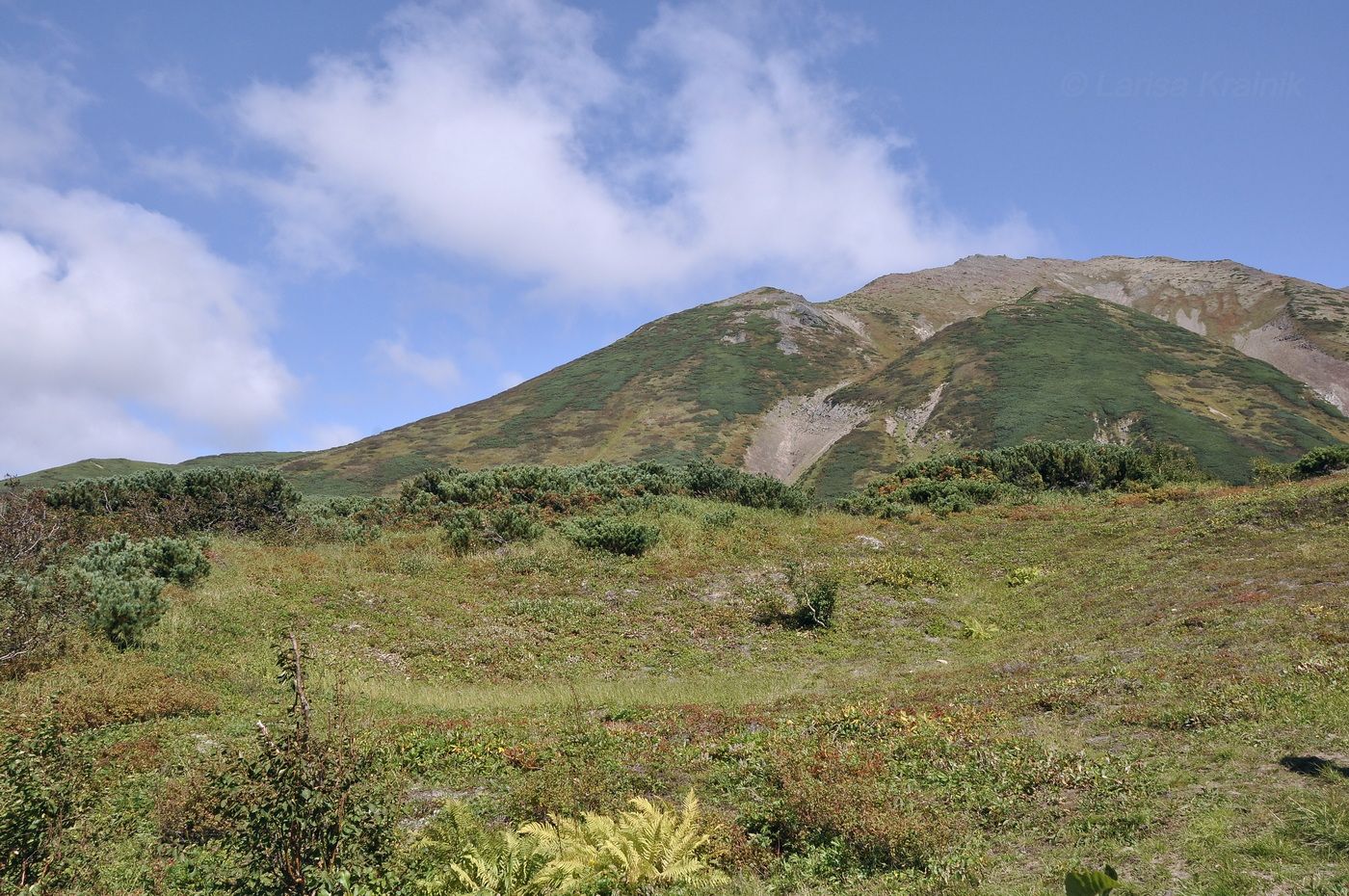 Гора Летняя Поперечная, изображение ландшафта.