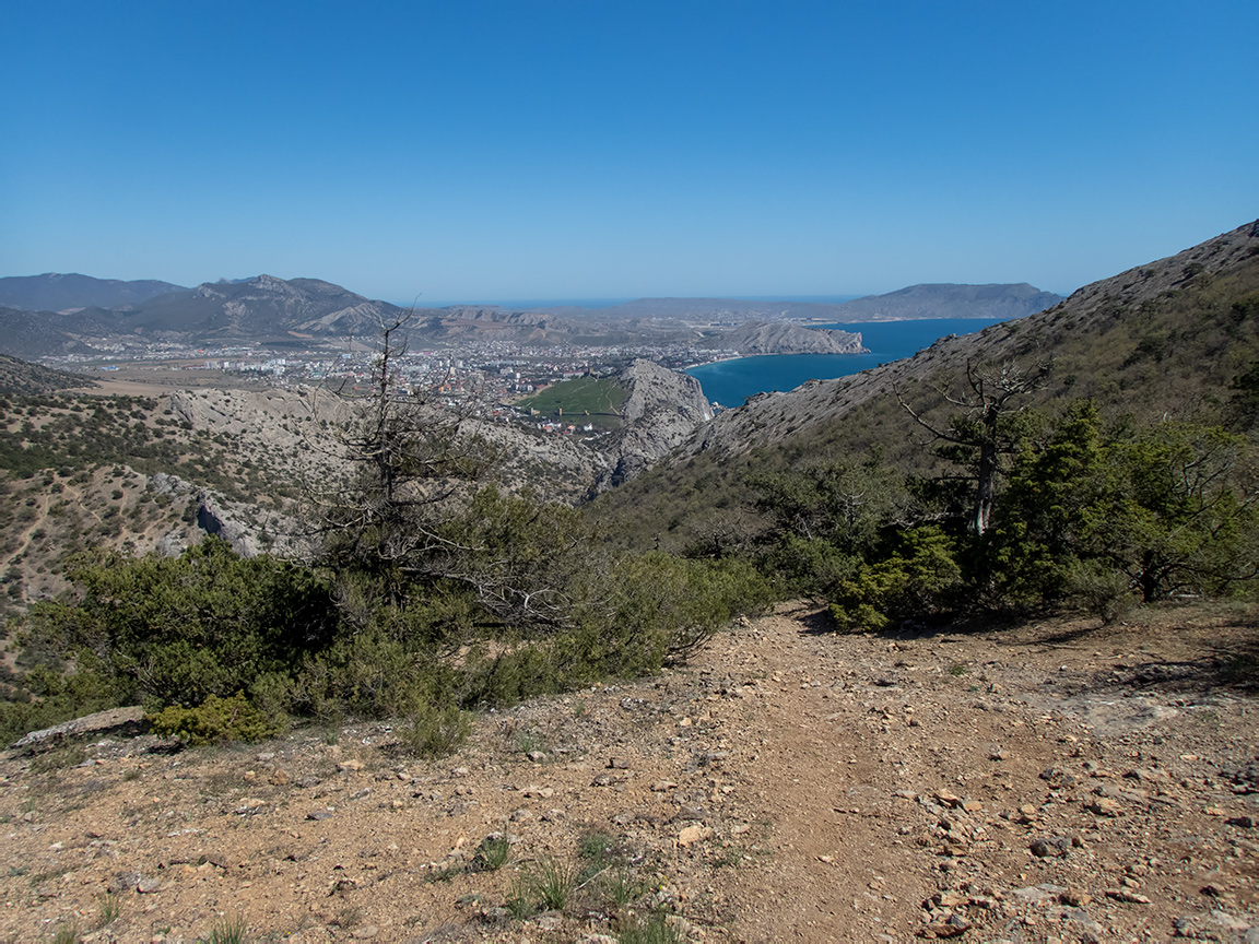 Сокол, image of landscape/habitat.
