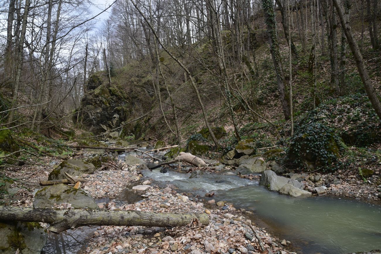 Переправа через Сюк, image of landscape/habitat.