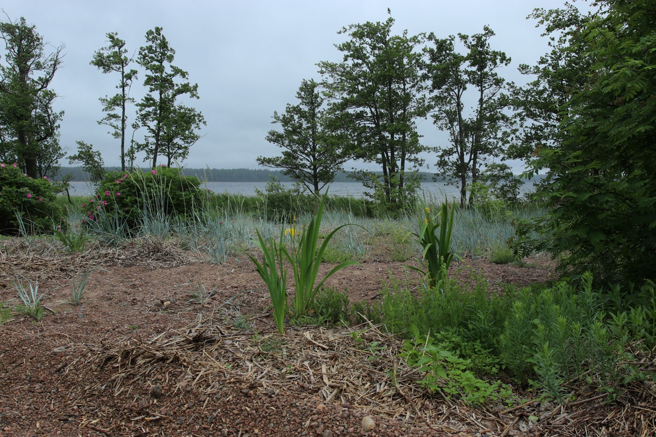 Каравалдай, image of landscape/habitat.