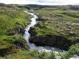 Междуречье Олёнки и Трящины, image of landscape/habitat.