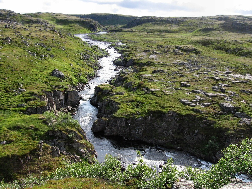 Междуречье Олёнки и Трящины, image of landscape/habitat.
