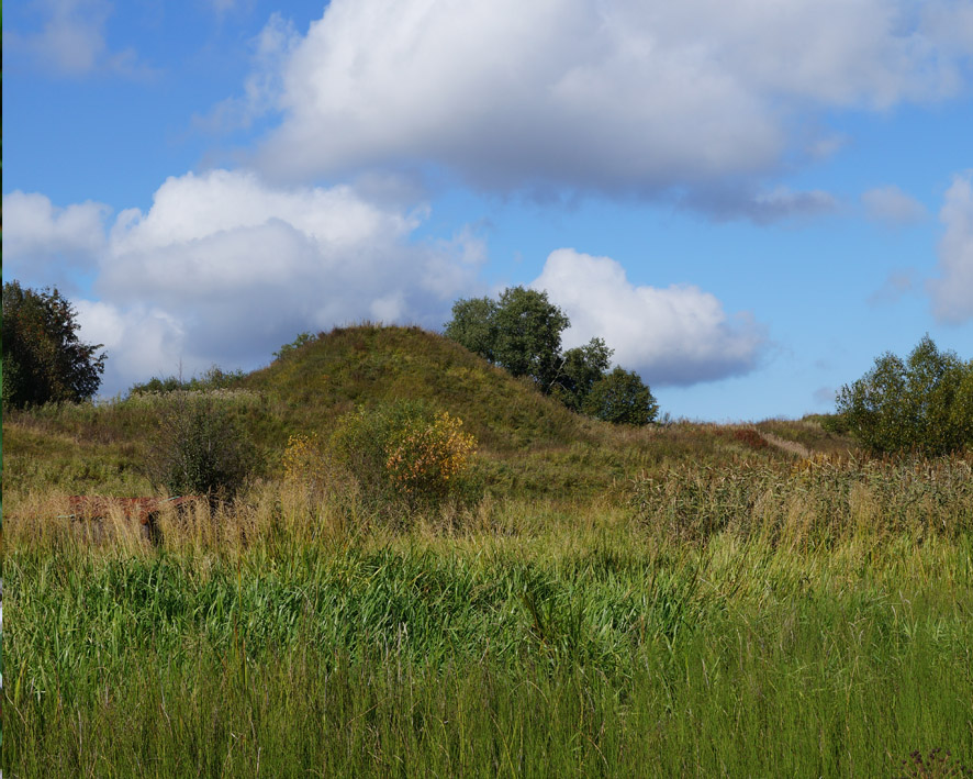 Старая Ладога, image of landscape/habitat.