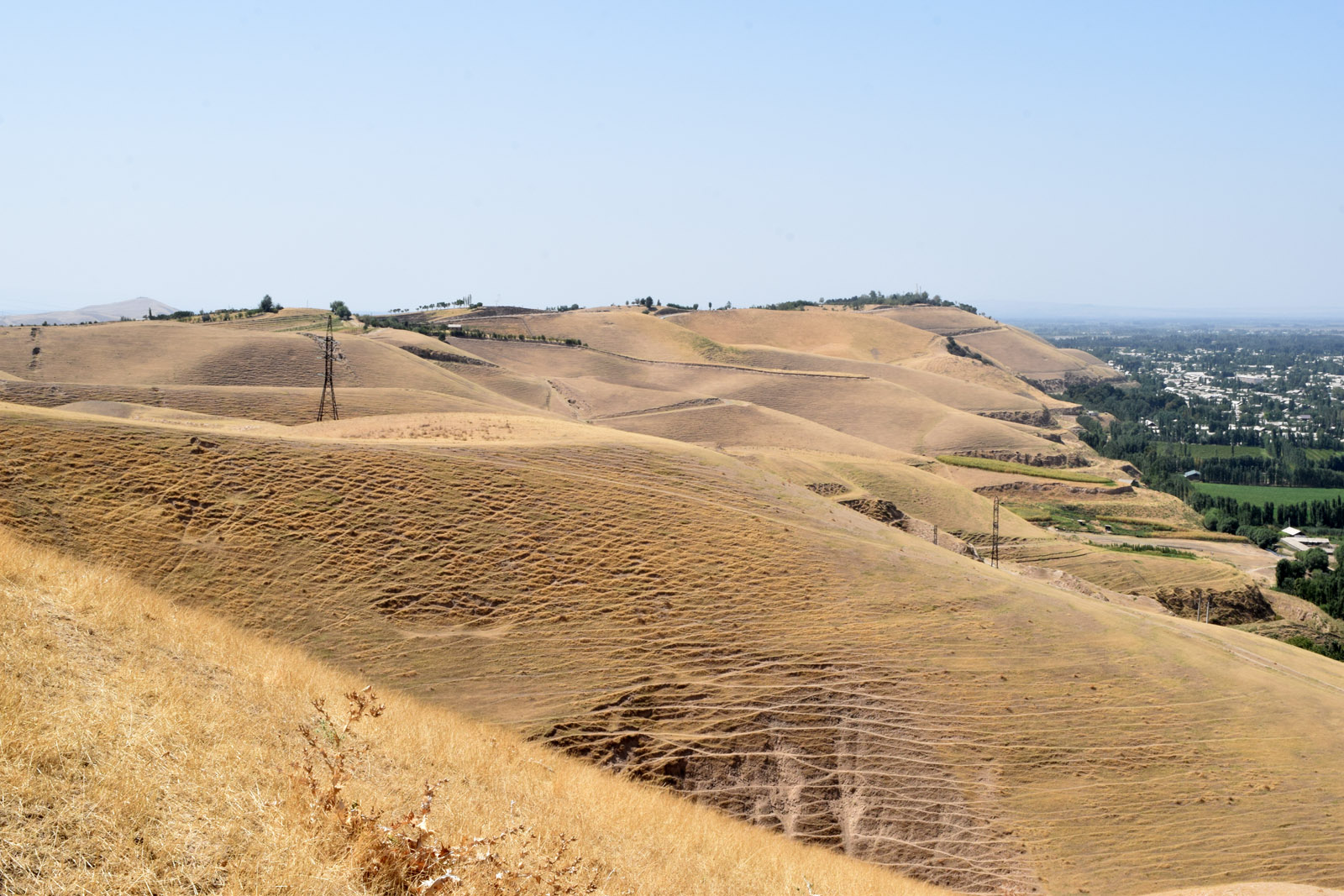 Окрестности города Ханабад, image of landscape/habitat.