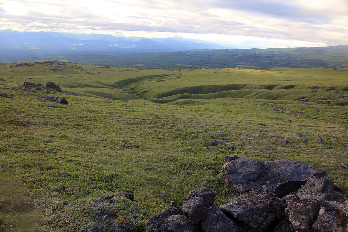 Вулкан Ушковский, image of landscape/habitat.