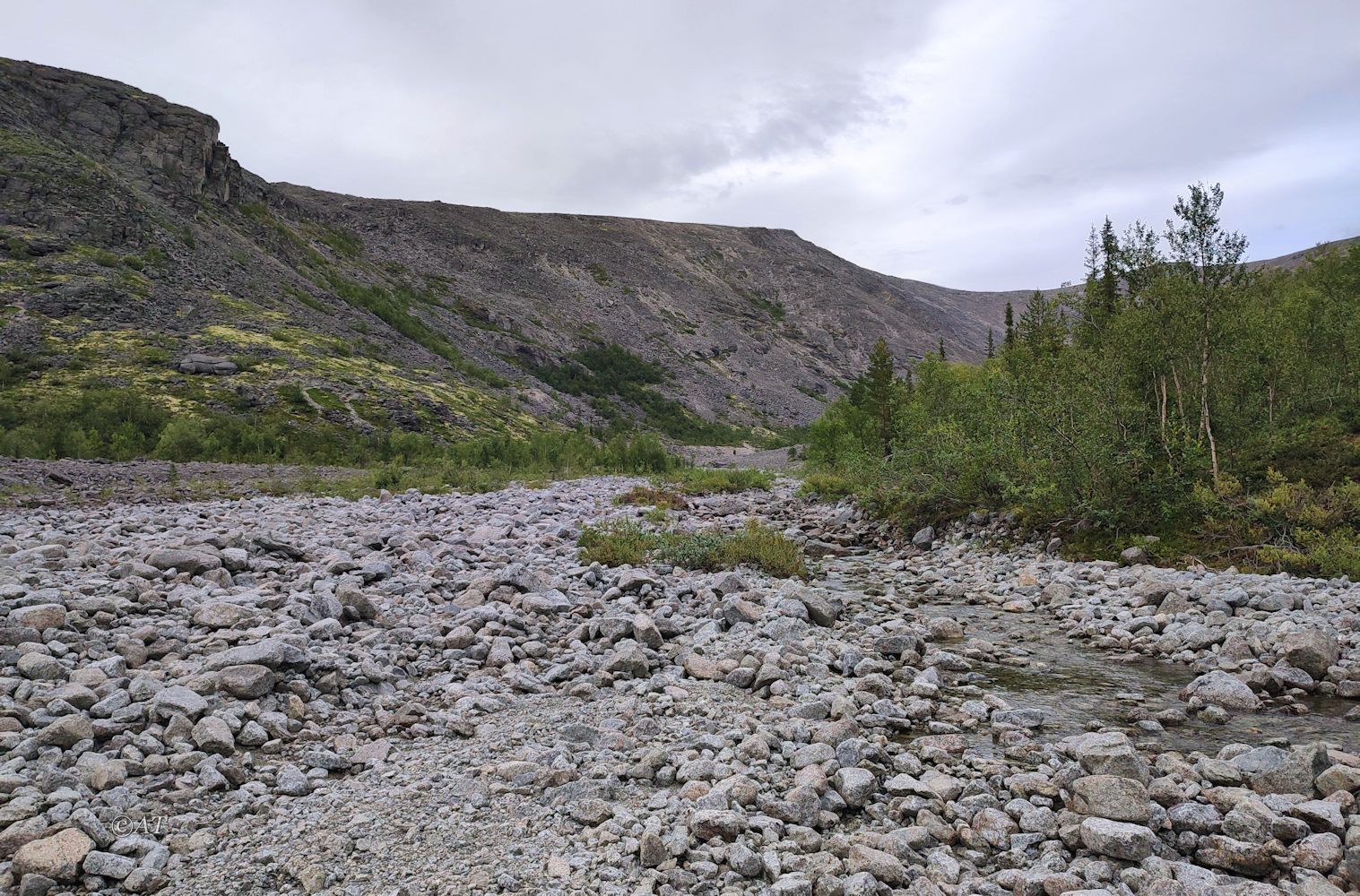 Ручей Лявойок, image of landscape/habitat.