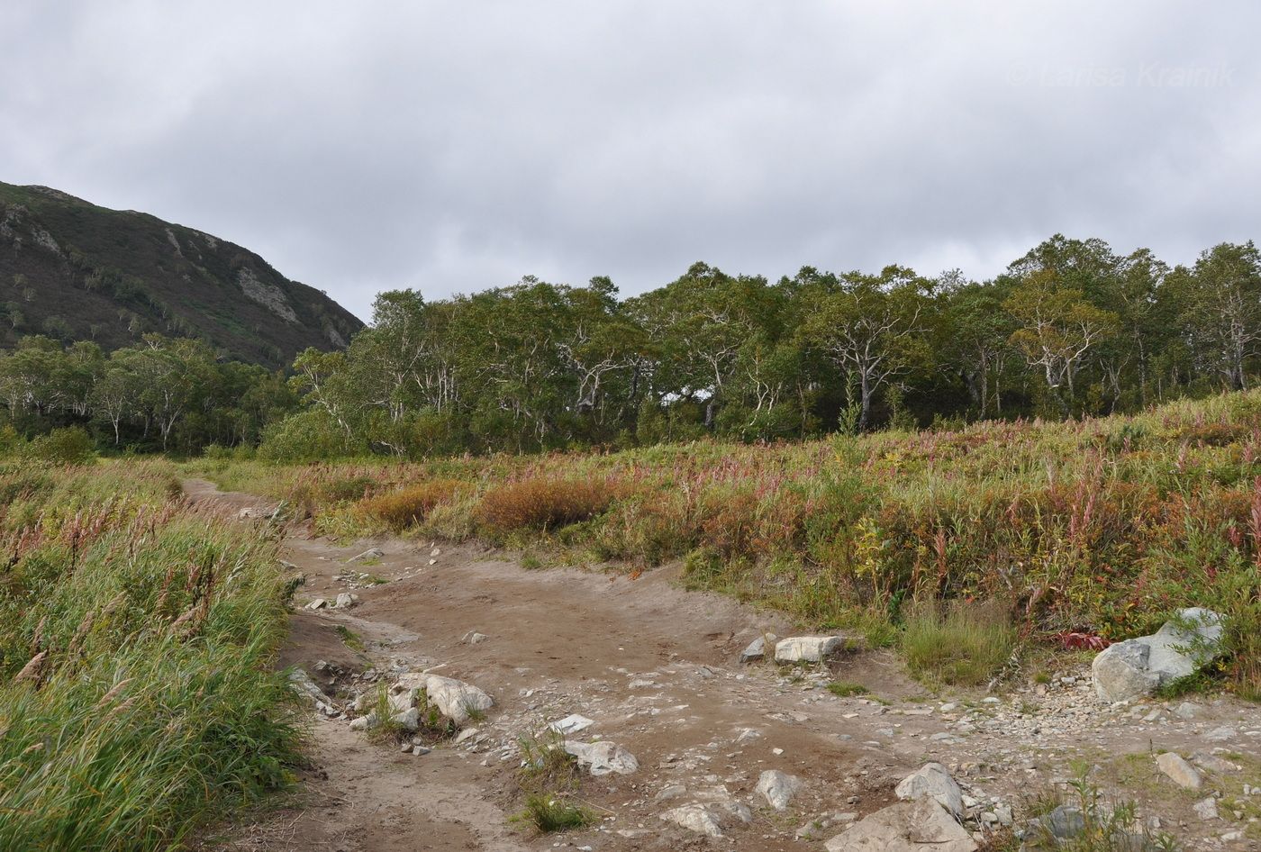Тахколоч, image of landscape/habitat.