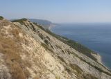 Image of landscape