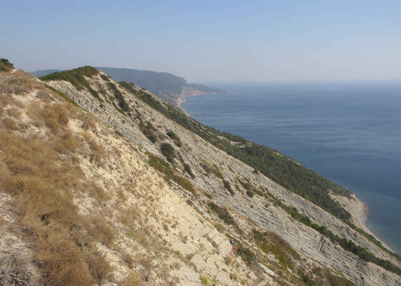 Приморские склоны у Варваровки, image of landscape/habitat.