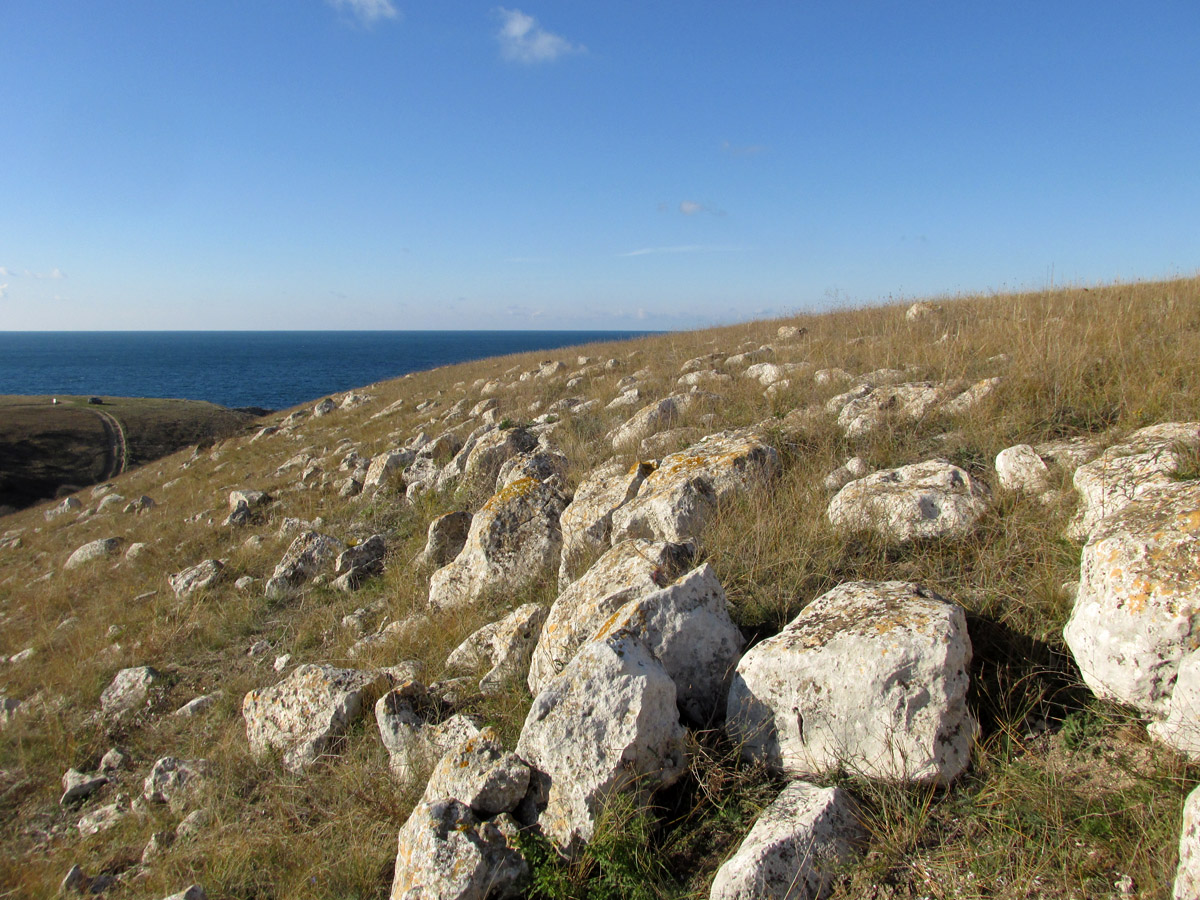 Большой Кастель, image of landscape/habitat.