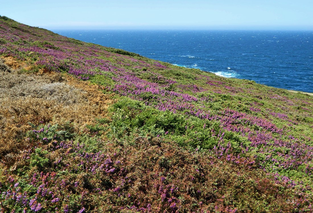 А-Корунья, image of landscape/habitat.