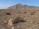 Image of landscape