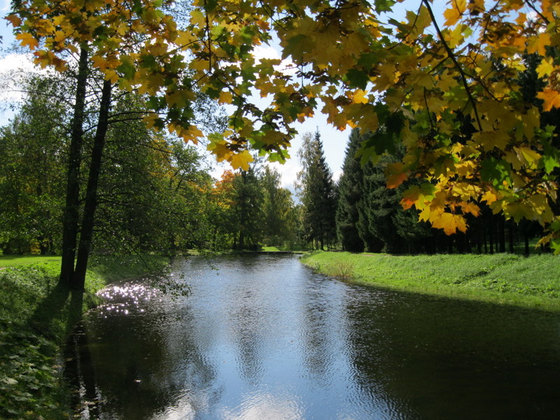 Город Пушкин, image of landscape/habitat.