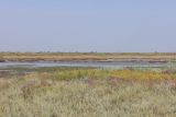 Image of landscape