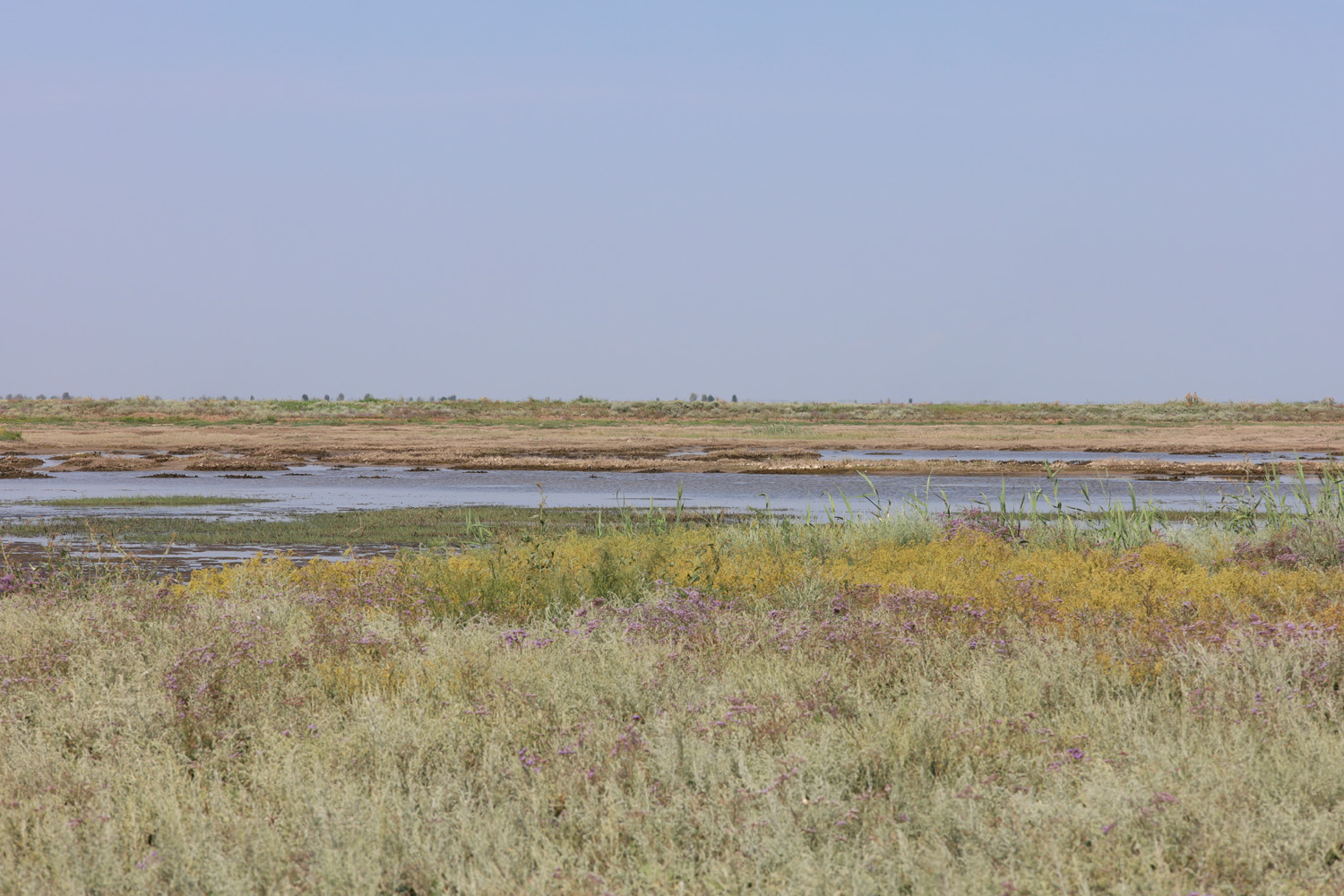 Заказник Присивашский, image of landscape/habitat.