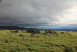 Image of landscape