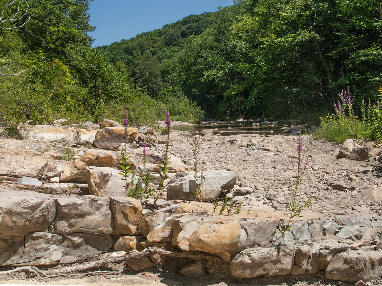 Капустная щель, image of landscape/habitat.