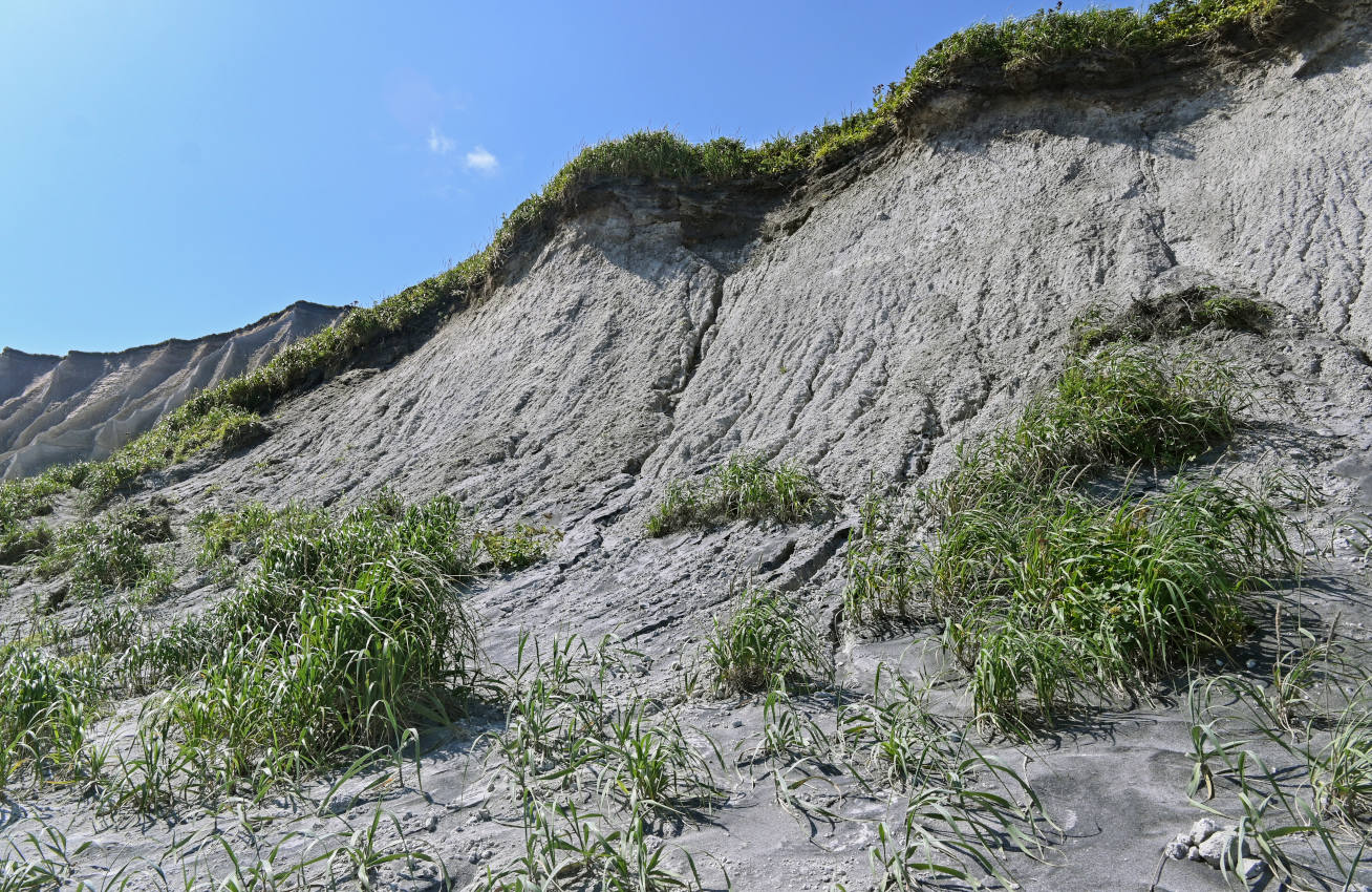 Белые скалы, image of landscape/habitat.