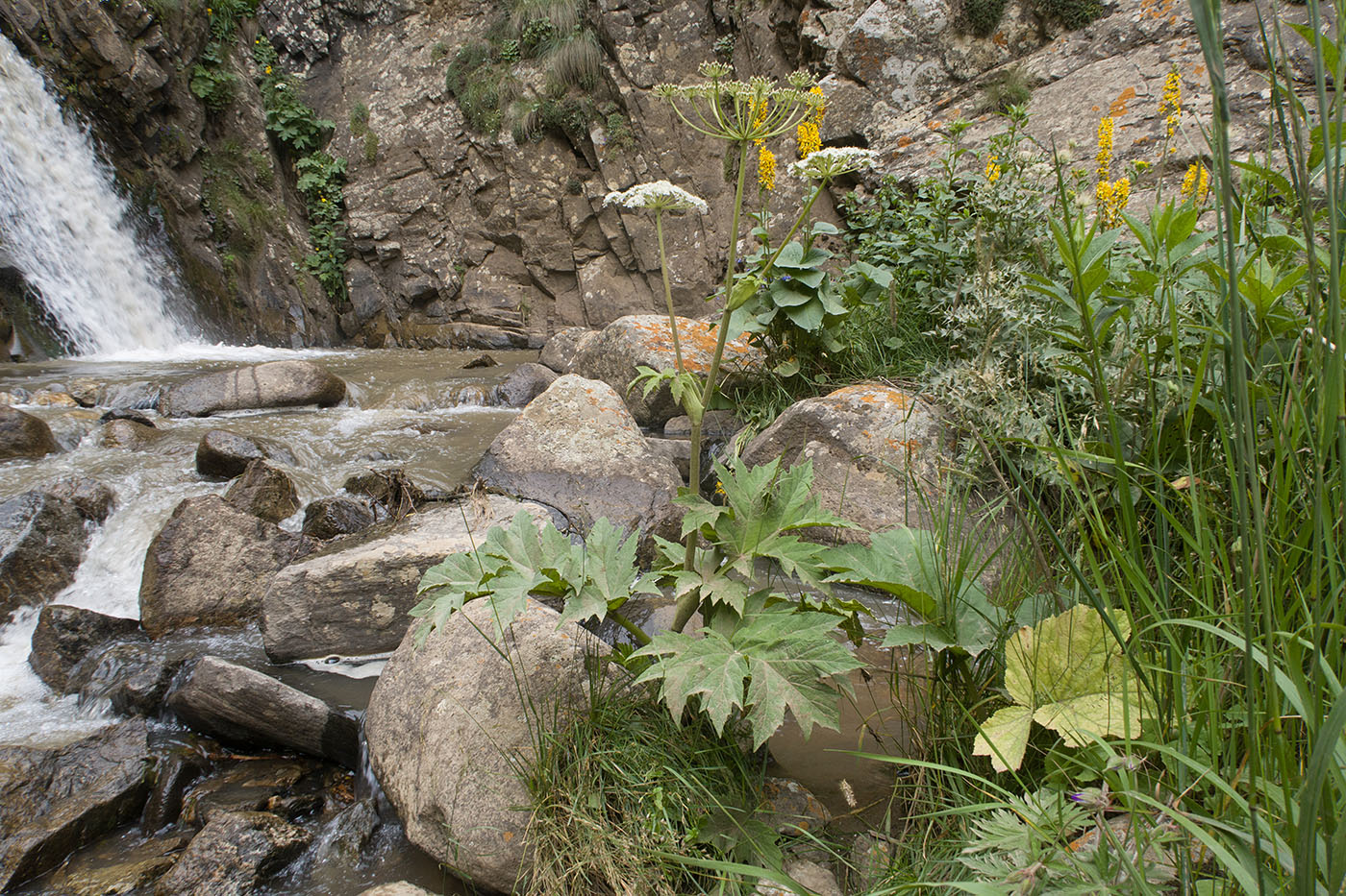 Водопад на притоке Чайнашки, image of landscape/habitat.