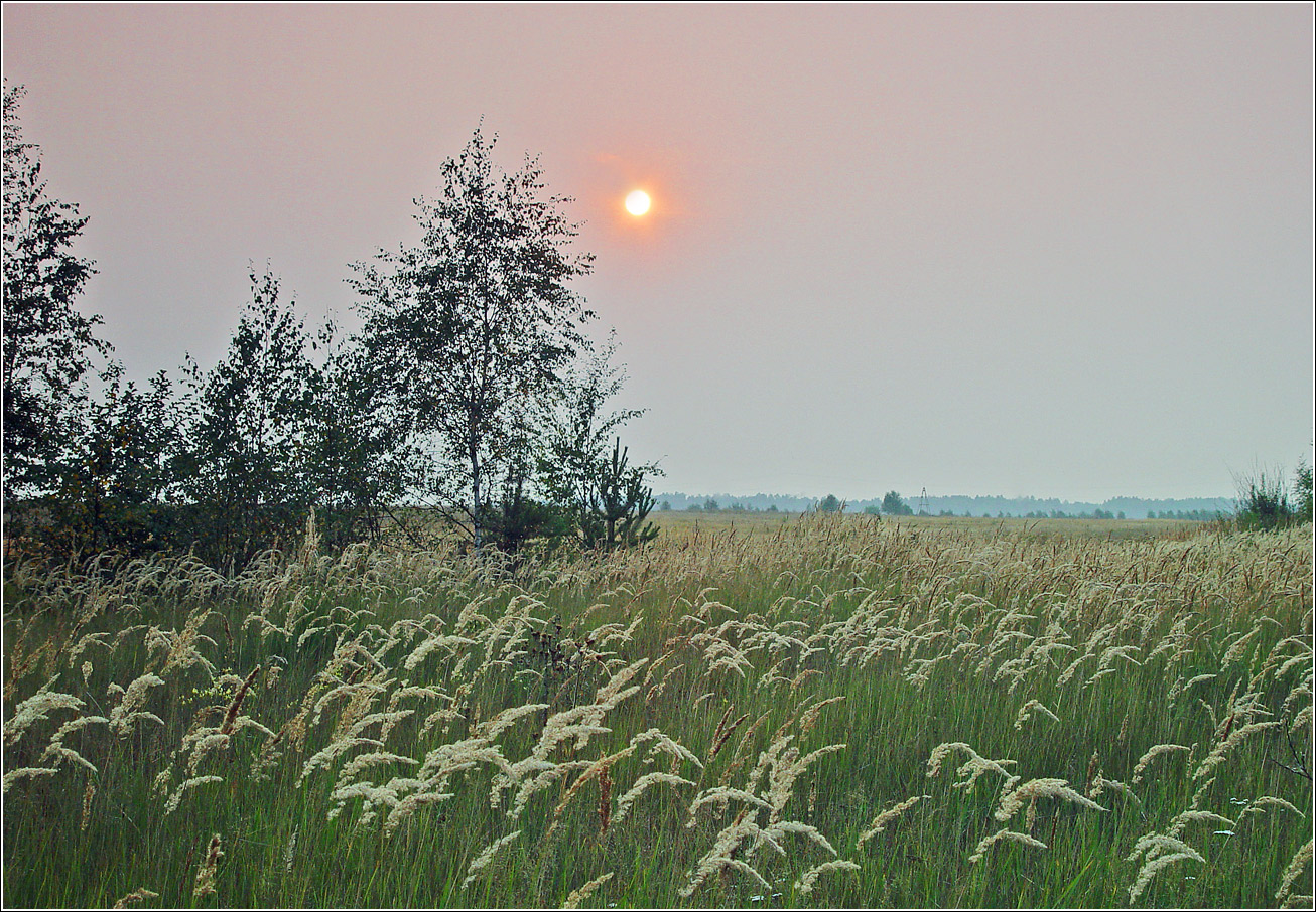 Окрестности Хрипани, image of landscape/habitat.