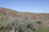 Image of landscape