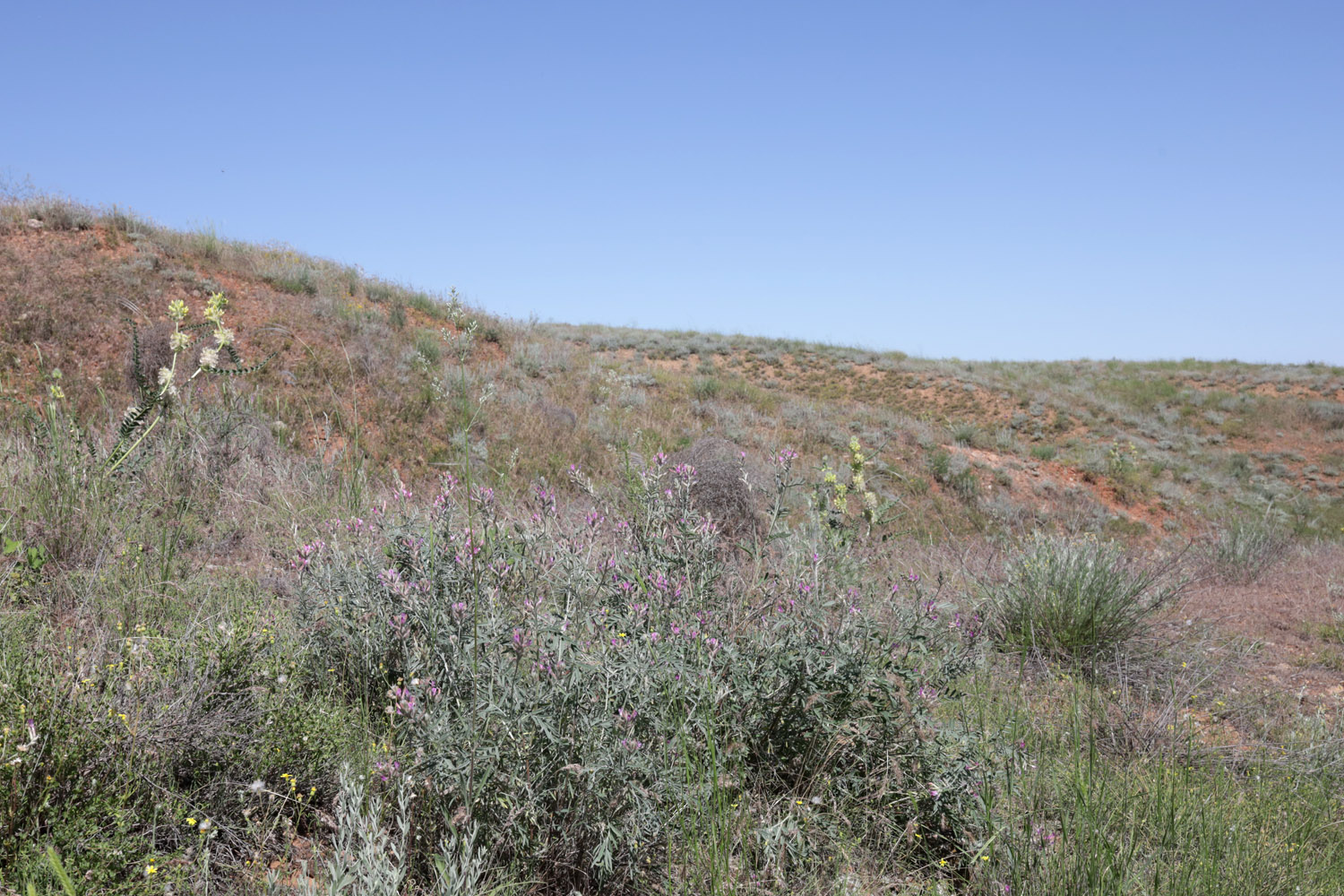 Гора Большое Богдо, image of landscape/habitat.