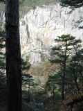 Image of landscape