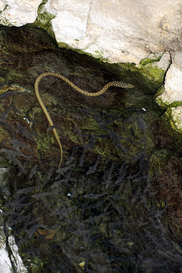 Чиличёр Чашма, image of landscape/habitat.