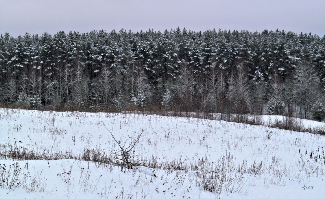 Каспля, image of landscape/habitat.