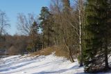 Павловск, image of landscape/habitat.