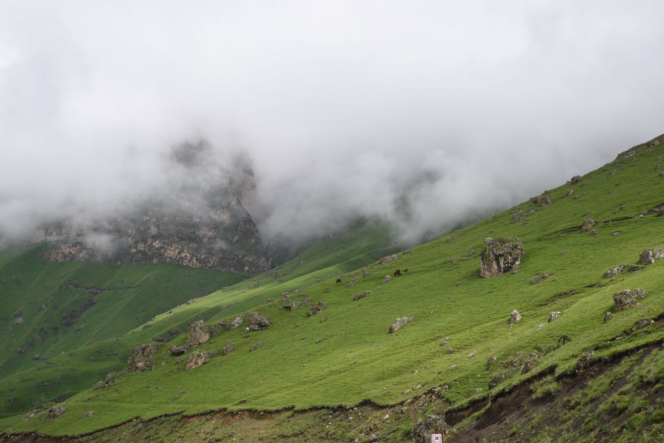 Перевал Цей-Лоам, image of landscape/habitat.