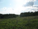 Image of landscape