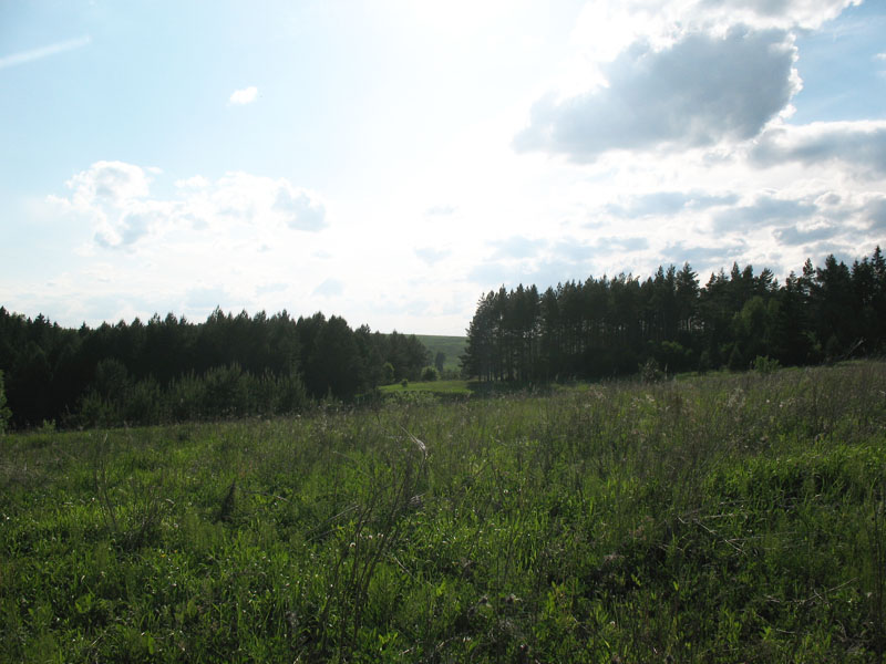 Полосня, image of landscape/habitat.
