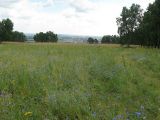 Image of landscape